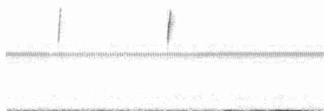 White-tailed Goldenthroat - ML145092681