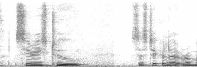 grovgressanger (nuchalis/awemba) - ML14512