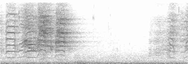 オウム目（インコ科 小さな種） - ML145153261