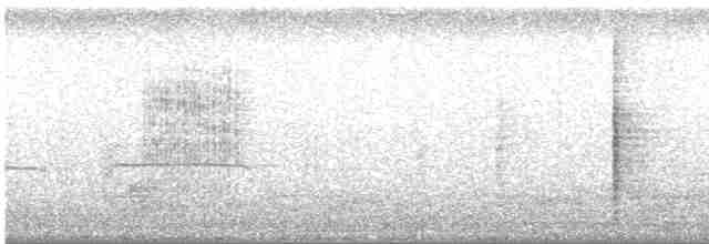Clamorous Reed Warbler - ML145163501