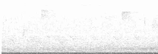 White-eyed Vireo - ML145199971