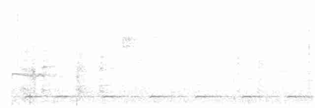 Сичик-горобець коста-риканський - ML145224041