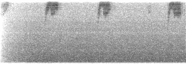 Серогрудый дромник - ML145234831