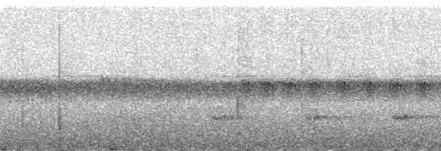 Рораймская совка (roraimae) - ML145260