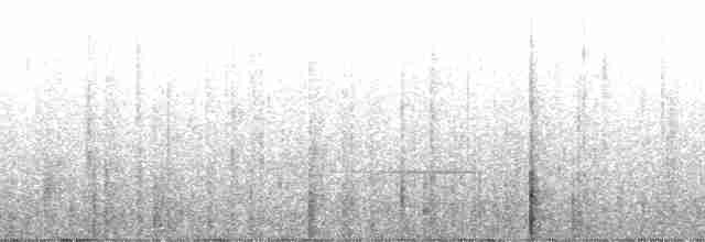 Flütçü Çıtkuşu - ML145329