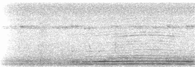 Wedge-tailed Shearwater - ML145354681