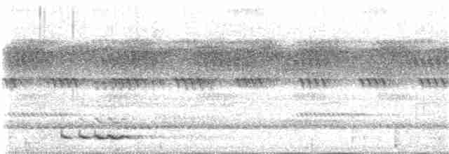 アフリカコノハズク（senegalensis） - ML145380171