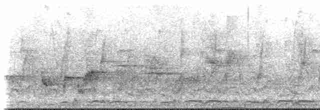 Абиссинский рогатый ворон - ML145384981