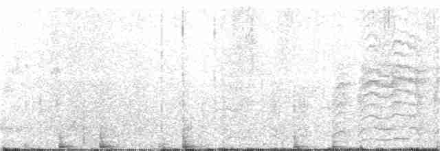 Magellanic Woodpecker - ML145465141
