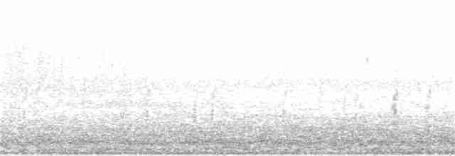 Короткоклювый бекасовидный веретенник - ML145498341