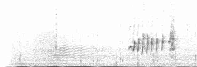Woodchat Shrike (Western) - ML145538411