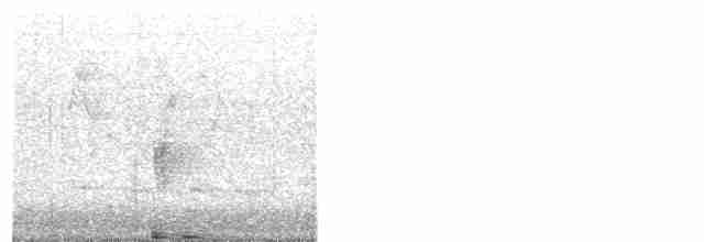 Gray-crowned Warbler - ML145636471