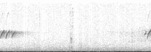 langhalemønjefugl - ML145736