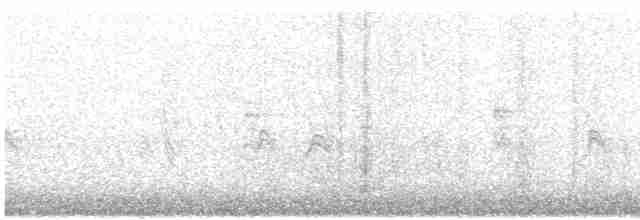 Spotted Towhee (oregonus Group) - ML145736911