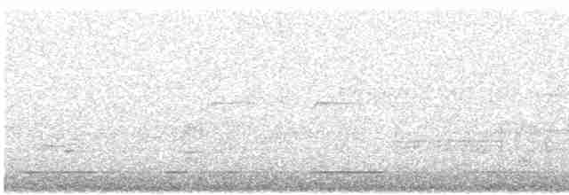Spotted Towhee (oregonus Group) - ML145738091