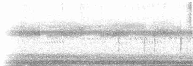 Western Subalpine Warbler - ML145823371