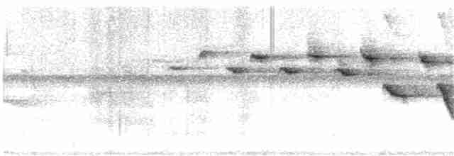 Flavescent Warbler - ML145869821