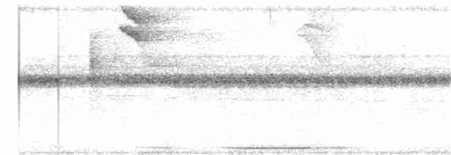 Flavescent Warbler - ML145869831