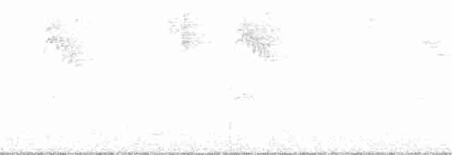 Тихоокеанский крапивник - ML145902671