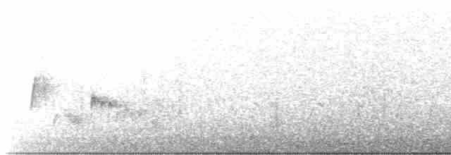 White-eyed Vireo - ML145941571