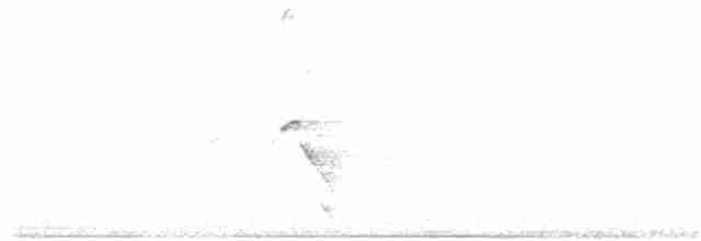 Шилоклювый дятел (auratus/luteus) - ML145951301