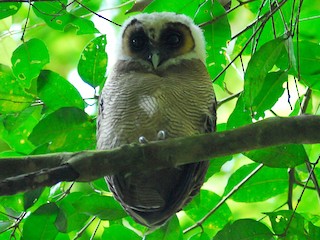 Аяқтағы пизды порно онлайн