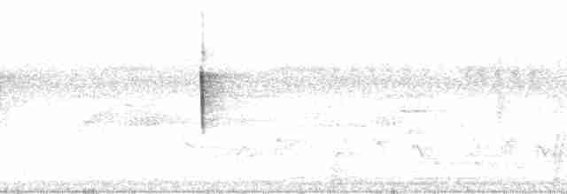 Мухолов-клинодзьоб сірий - ML146