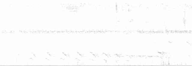 Чернополосый колючник - ML146193591