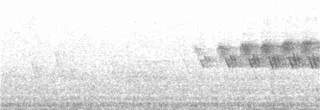 Cerulean Warbler - ML146213341