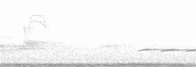 Cerulean Warbler - ML146213611