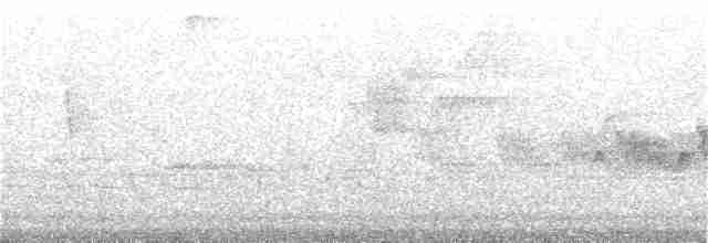 Cerulean Warbler - ML146213891