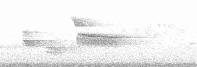 Cerulean Warbler - ML146214071