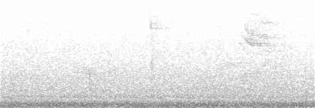 Cerulean Warbler - ML146214771
