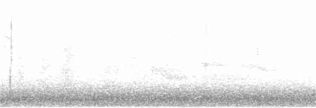 Vireo Ojiblanco - ML146221601