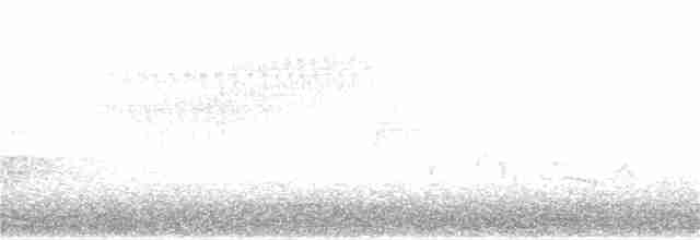 Karolina Çıtkuşu - ML146221671