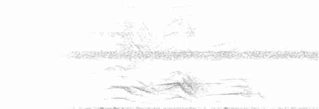 Montezuma Oropendulası - ML146290301