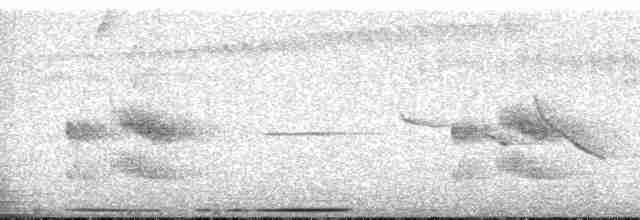 holub andský - ML146333