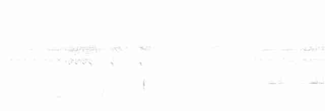 Mangrove Whistler - ML146353551
