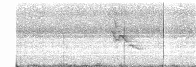 Sperlingsvogel, unbestimmt - ML146402751