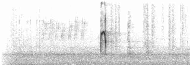 strakapoud americký [skupina villosus] - ML146443001