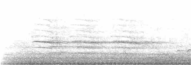 Каролинский крапивник - ML146443021