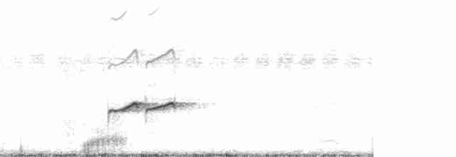 Gray-tailed Tattler - ML146499621