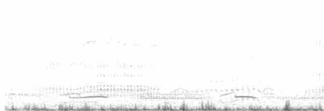 tučňák nejmenší - ML146502361