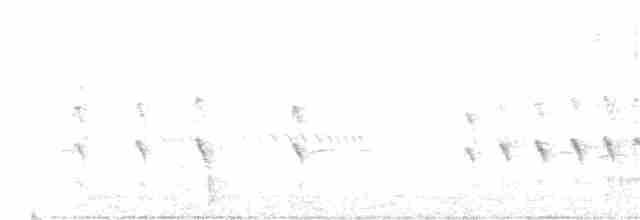 Медник блідий - ML146503711