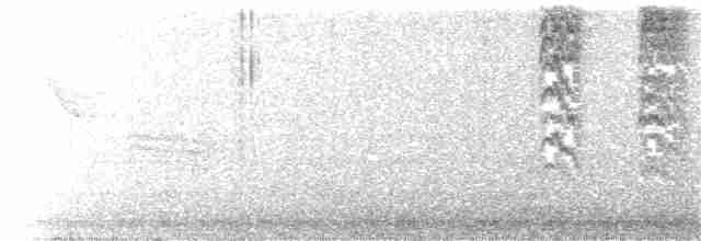 Сероголовая гаичка - ML146512851