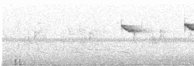 Common Kingfisher - ML146564291