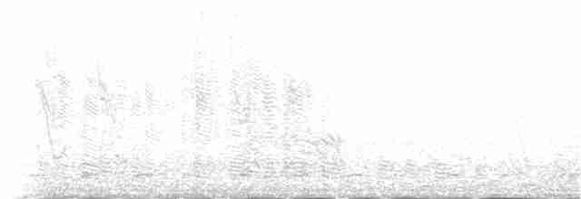 Сероголовый воробей - ML146599821