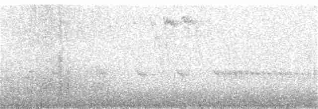 Chaparralgrasmücke - ML146630761