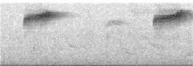 Eye-ringed Flatbill - ML146683911