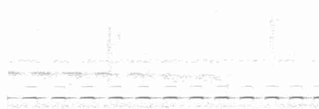 Short-tailed Antthrush - ML146700621